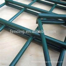 Hengshui fabricant export décoratif Double Wire Fence